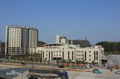 �����������t(y��)Ժ�C(j��)������